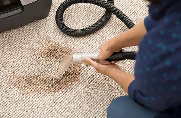 Carpet Cleaning Services